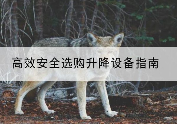 达日升降货梯厂家推荐-*安全选购升降设备指南