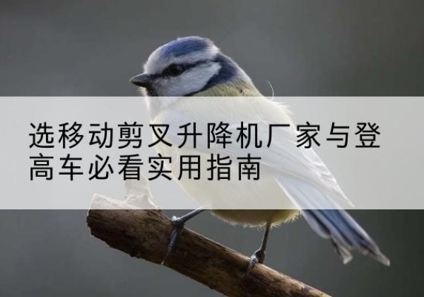 达日电动升降机厂家-选移动剪叉升降机厂家与登高车必看实用指南